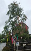 Maibaum B.120